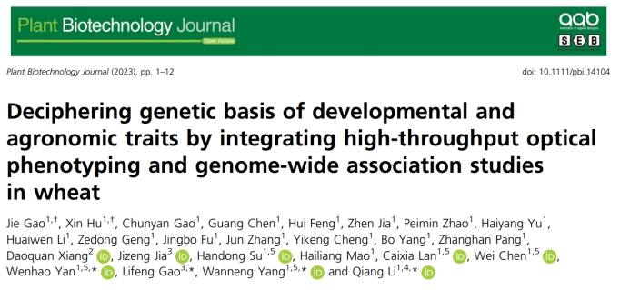 Plant Biotechnology Journal|高通量作物表型技術助力小麥生長和產量相關性狀遺傳解析