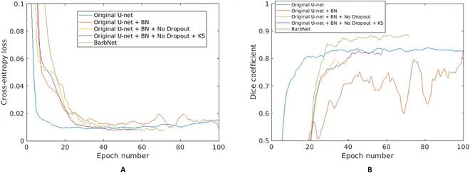 AwnImageAnalysisandPhenotypingUsingBarbNet使用BarbNet進(jìn)行芒的圖像分析和表型分析